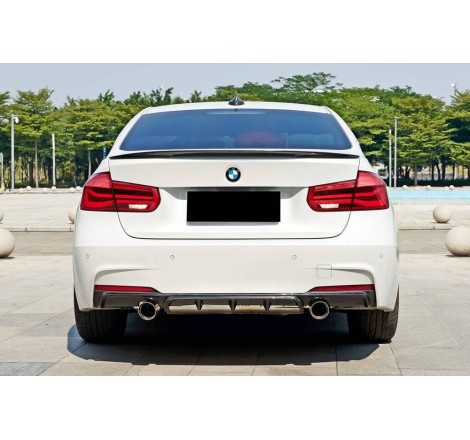 ALETTONE BMW F30 CARBONIO