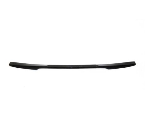 Alettone BMW F32 M4 Carbonio