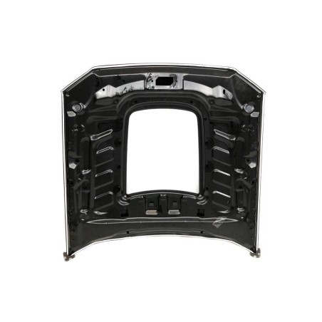 Cofano Ford Mustang 2010-2014 Look GT500 Alluminio