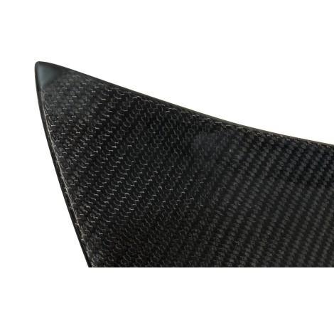 Malle Arrière Carbone BMW E46 99-05 2P / E46 Look M3 CSL