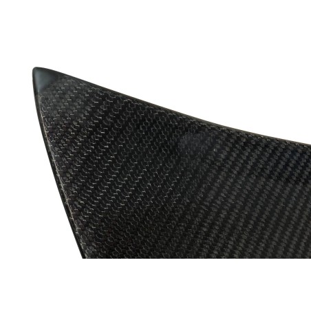 Malle Arrière Carbone BMW E46 99-05 2P / E46 Look M3 CSL