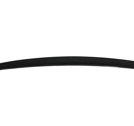 Alettone BMW F10 10-16 M5 Carbonio