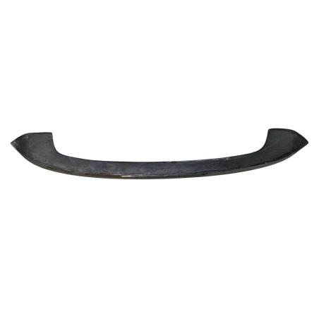 Alettone BMW F20 / F21 Carbonio