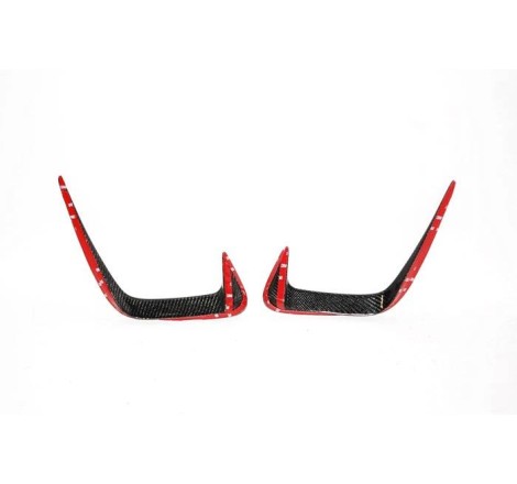 Prese D'Aria Carbonio BMW G20 Look MTECH