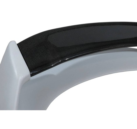 ALETTONE - SPOILER HONDA CIVIC 2006-2014 FN2 TYPE MUGEN FLAT CARBONIO