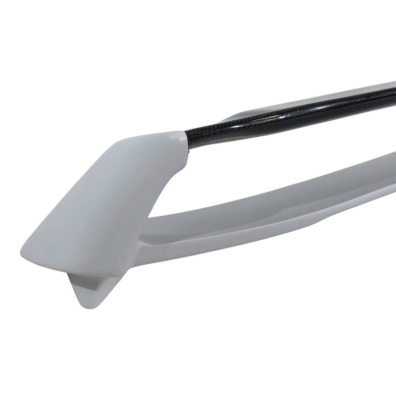 AILERON HONDA CIVIC 2006-2014 FN2 TYPE MUGEN FLAT CARBONE