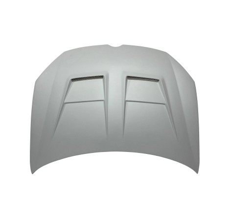 Capot Fibre Volkswagen Golf 6