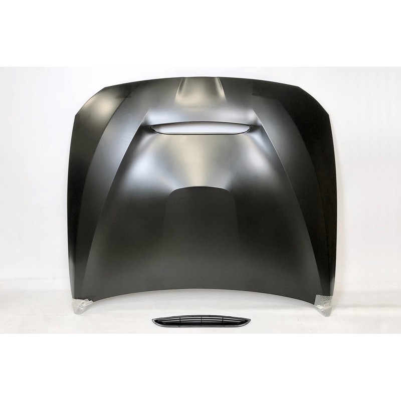 Bonnet BMW F10 / F11 2010-2016 Look GTS Metal