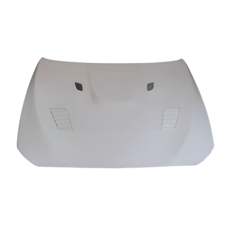 Cofano Fibra BMW F10 look GTR