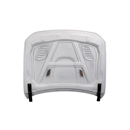 Capot En Fibre BMW F10 look GTR