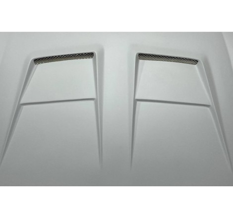 Kit De Carrosserie Volkswagen Golf 6 Look R20 Capot