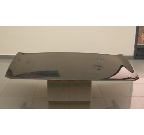 Capó Carbono Renault Megane 2003 S/T